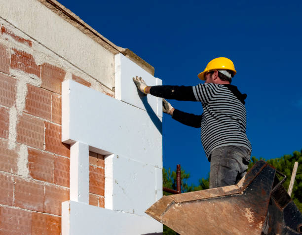 Best Insulation Maintenance and Repair in Oak Park, MI