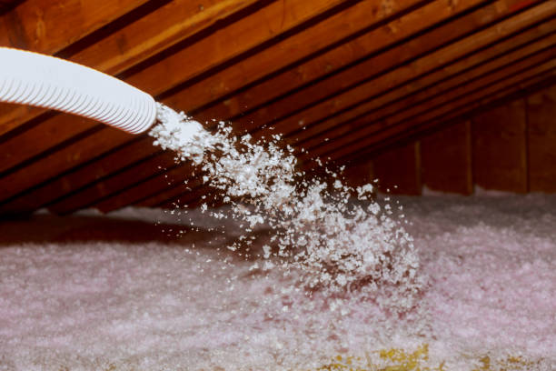 Best Energy Efficiency Solutions in Oak Park, MI