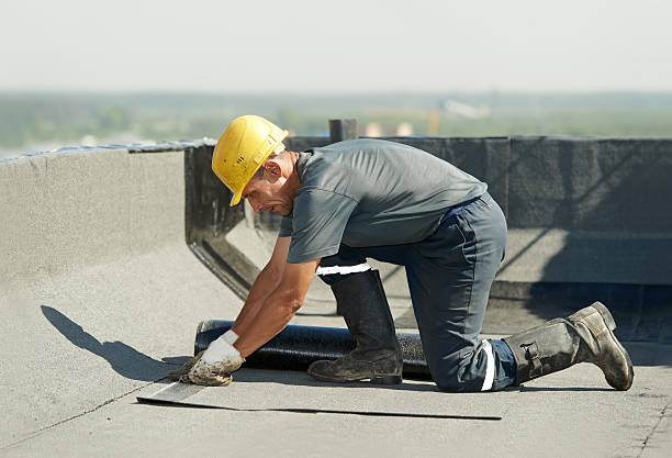 Best Residential Insulation in Oak Park, MI